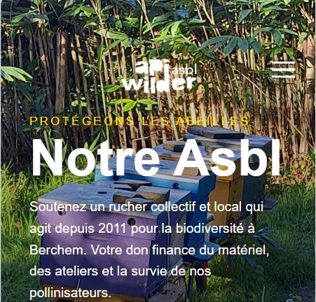 Photo de la page d'acceuil ApiWilder